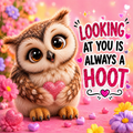 Fluffy Animals 5 images Volume2